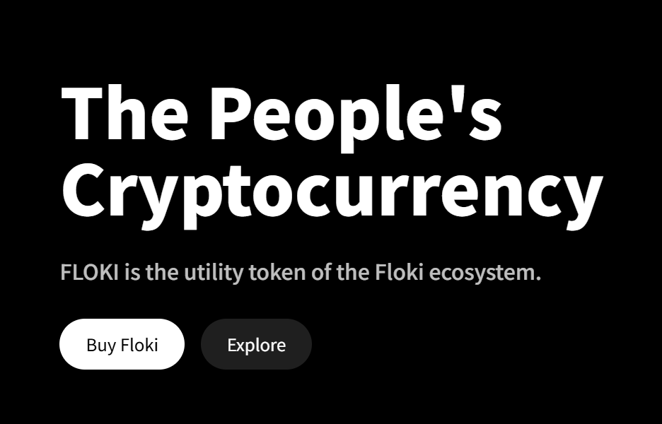 FLOKI